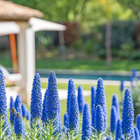 Exceptional Villa- Ac- 5br-10p- Baie Des Canebiers *