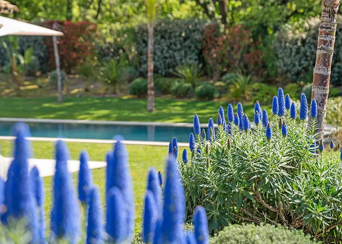 Exceptional Villa- Ac- 5br-10p- Baie Des Canebiers Villa Saint-Tropez