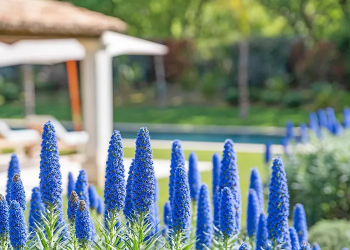 Exceptional Villa- Ac- 5br-10p- Baie Des Canebiers *